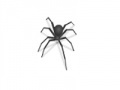 Gra Spider
