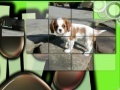Gra Pretty Puppies Puzzles