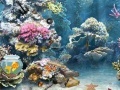 Gra Underwater World