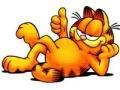 Gry Garfield