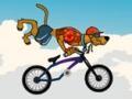 BMX Gry Online