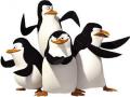 Gry Pingwiny z Madagaskaru. The Penguins of Madagascar