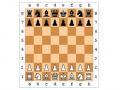 Szachy online za darmo, bez rejestracji