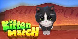Mecz kociąt 