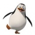 Gry Pingwiny z Madagaskaru. The Penguins of Madagascar